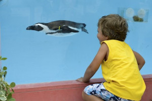 Columbus Zoo Hotel + Ticket Package