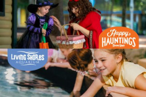 Story Land and Living Shores Aquarium - Halloween Combo - Hotel + Ticket Package