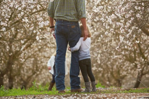 Family Almond Blossom Cruise Package