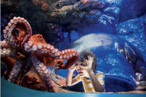 USS Midway & SeaWorld Combo