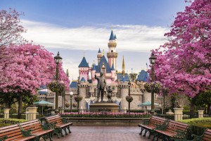 California Resident <i>DisneylandÃ&reg;</i> Resort <i>Park HopperÃ&reg;</i> or 1-Park Per Day Ticket + Hotel Package