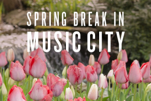 Spring Break in Music City Package