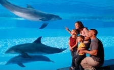 Corpus Christi Break-Away