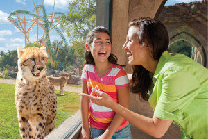 Busch Gardens Tampa Bay Hotel + Ticket Package