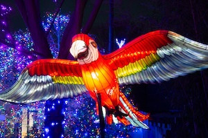 Cincinnati Zoo & Botanical Garden Hotel + Ticket Package