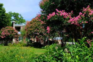 Andrew Jackson's Hermitage - Home of the People's President Photo