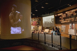 Knockout Hotel Package