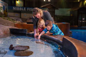 Living Shores Aquarium - Hotel + Ticket Package