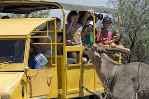 Out of Africa Wildlife Park Hotel + VIP Behind the Scenes Ticket
