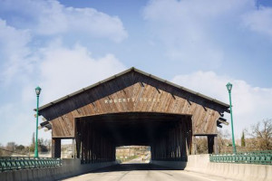 Petal to the Metal Package - Almond Blossom Tour Coach