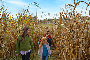 Spooktacular Fun! Hotel plus Happy Halloween Weekends One-Day Ticket Package