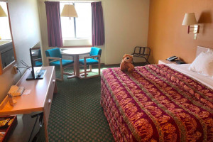 Kings Inn Photo Gallery