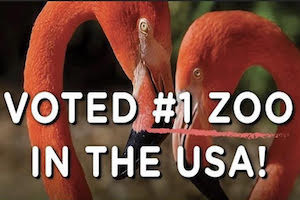 Fort Worth Zoo Hotel + Ticket Package