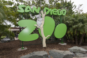 San Diego Zoo & Old Town Trolley Tours Combo Deal