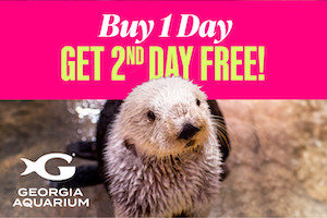 General Admission + 2nd Day FREE + Hotel Package - Skip the Box Office Line