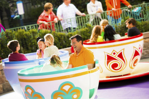 <i>DisneylandÃ&reg;</i> Resort & SeaWorld San Diego Combo Ticket Deal