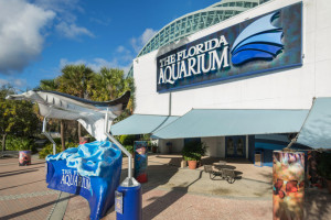 The Florida Aquarium or ZooQuarium Discounted Hotel & Ticket Package