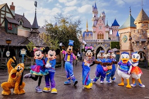 <i>Disneyland&reg;</i> Resort 1-Park Per Day Ticket + Hotel Package