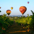 A Grape Escape Hot Air Balloon Adventure