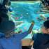 Adventure Aquarium